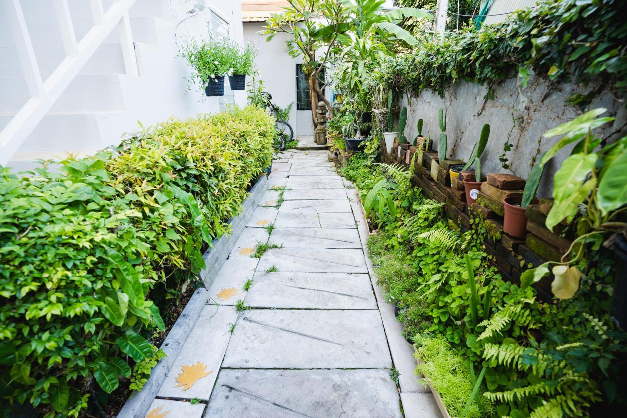 Hotel Sabuy Chiangmai Chiang Mai Exterior foto